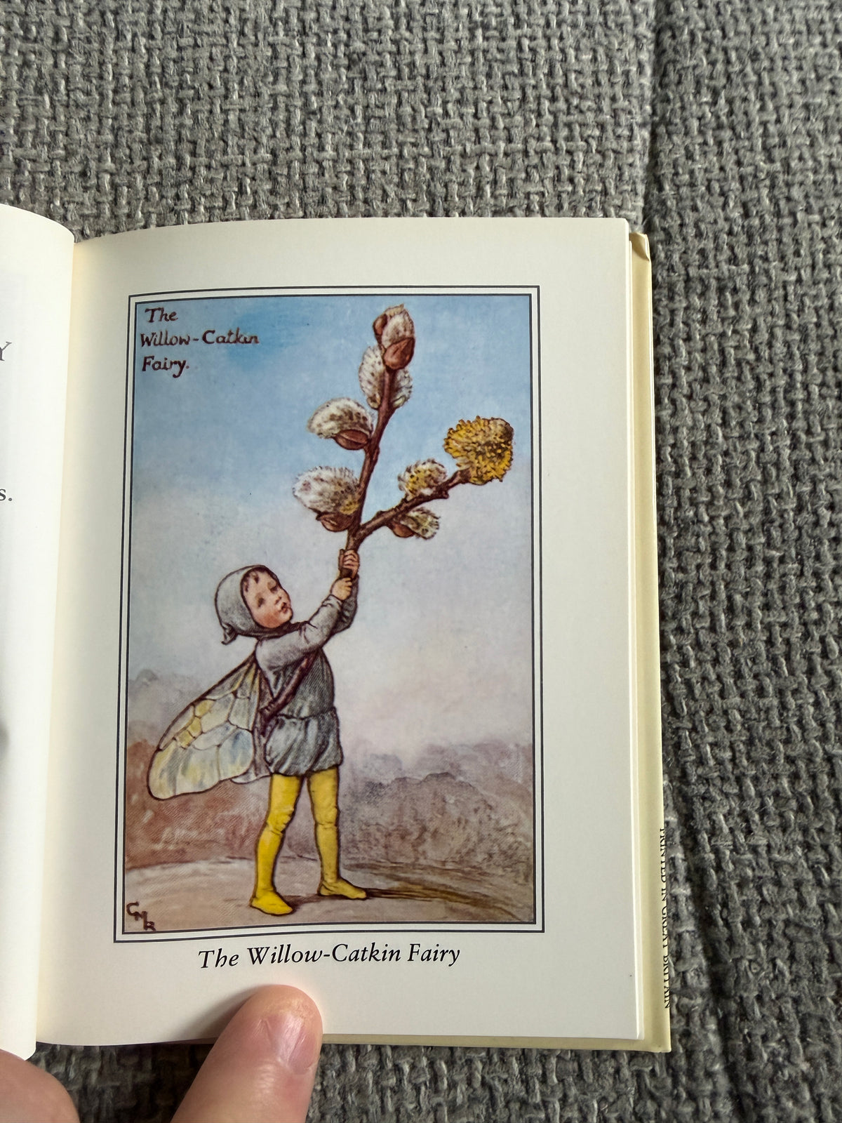 1990 Flower Fairies Of The Spring - Cicely Mary Barker (Guild Publishing)