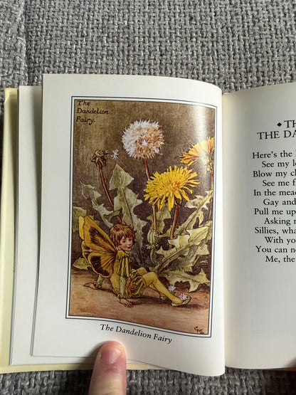 1990 Flower Fairies Of The Spring - Cicely Mary Barker (Guild Publishing)