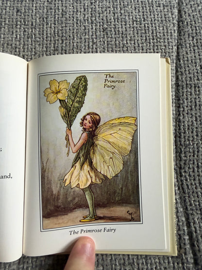 1990 Flower Fairies Of The Spring - Cicely Mary Barker (Guild Publishing)