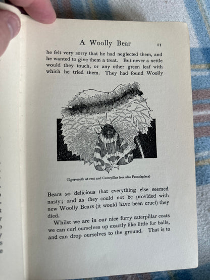 1920’s Insect Ways On Summer Days - Jennett Humphreys(The Gresham Publishing Company)