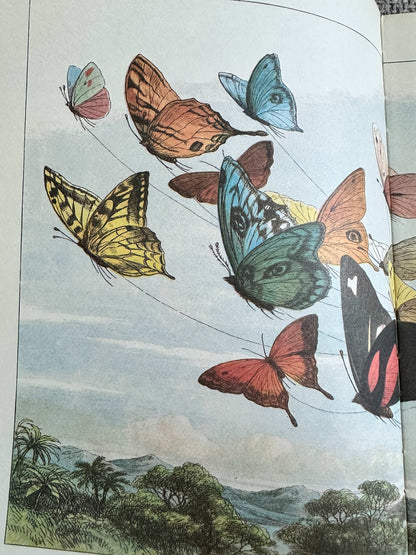 1979 In Fairyland Pictures From The Elf-World - Richard Doyle (The Viking Press)