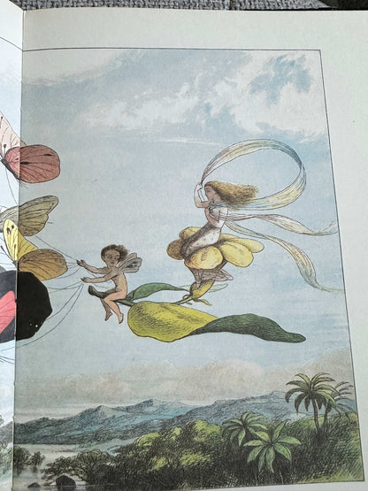 1979 In Fairyland Pictures From The Elf-World - Richard Doyle (The Viking Press)