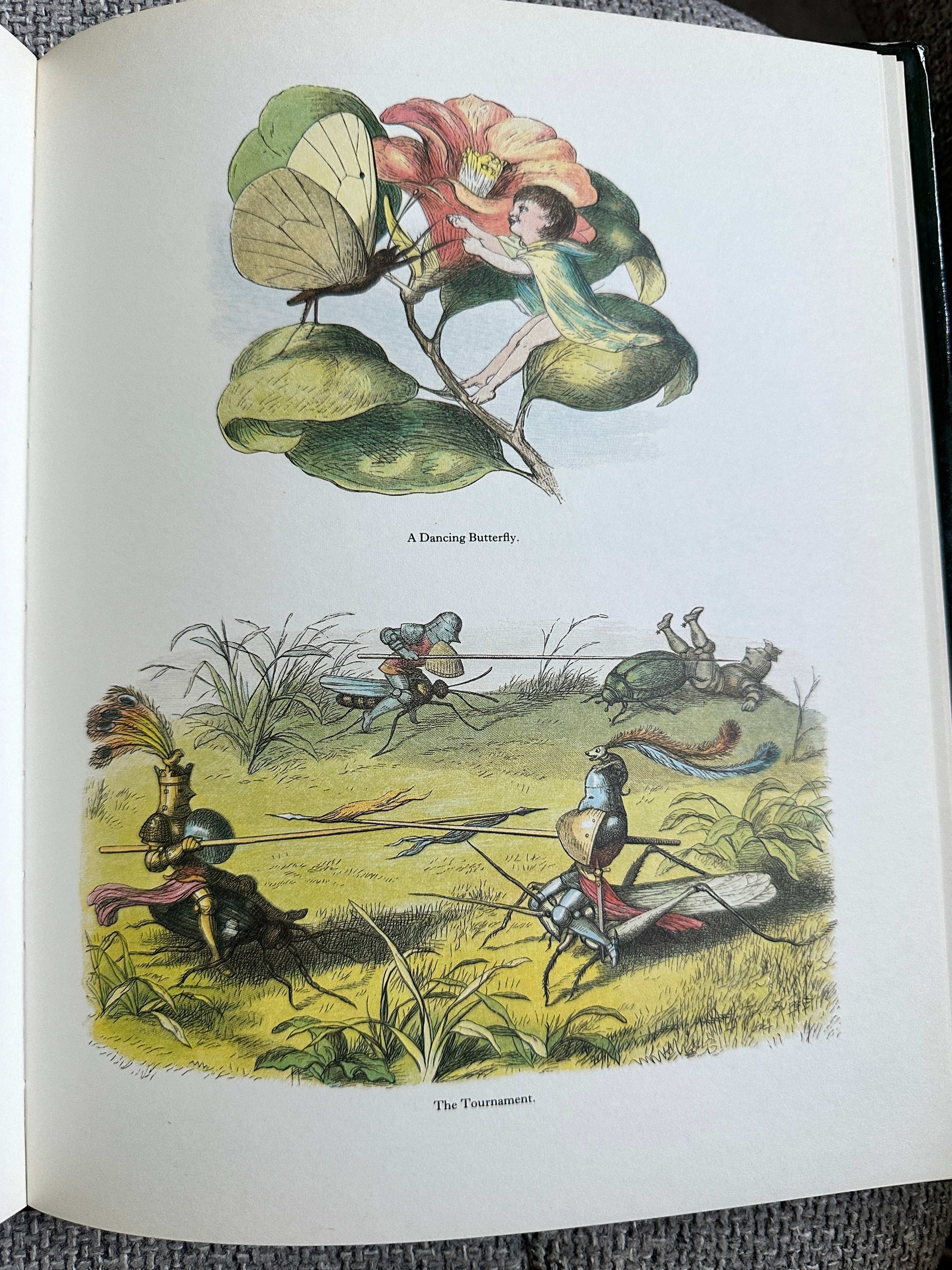 1979 In Fairyland Pictures From The Elf-World - Richard Doyle (The Viking Press)