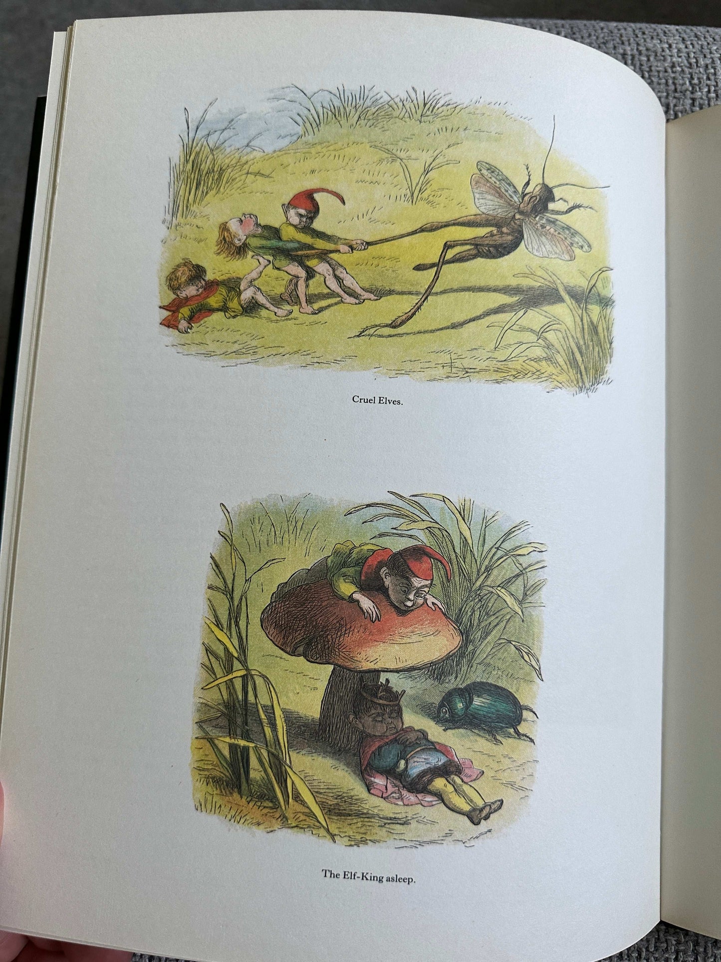 1979 In Fairyland Pictures From The Elf-World - Richard Doyle (The Viking Press)