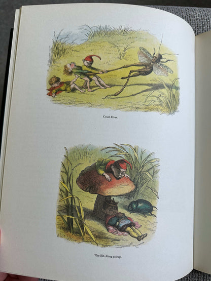 1979 In Fairyland Pictures From The Elf-World - Richard Doyle (The Viking Press)