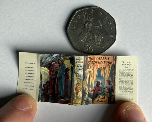 The Valley Of Adventure 1:12 scale 2x3 opening book text dust jacket
