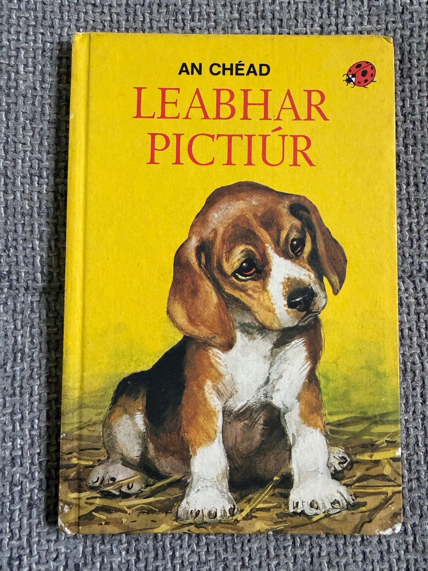1985 An Chéad Leabhar Pictiúr (Irish Language) Ethel & Harry Wingfield (An Gúm Publisher)