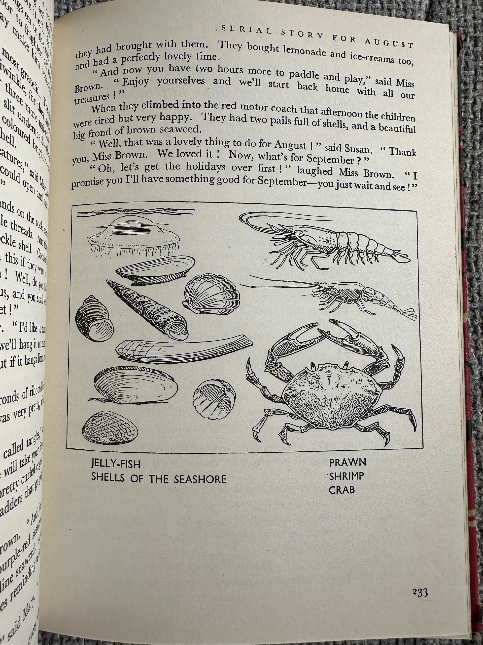 1942 Enid Blyton’s Book Of The Year (Music Alec Rowley Illust Harry Rountree) The Evans Brothers Published