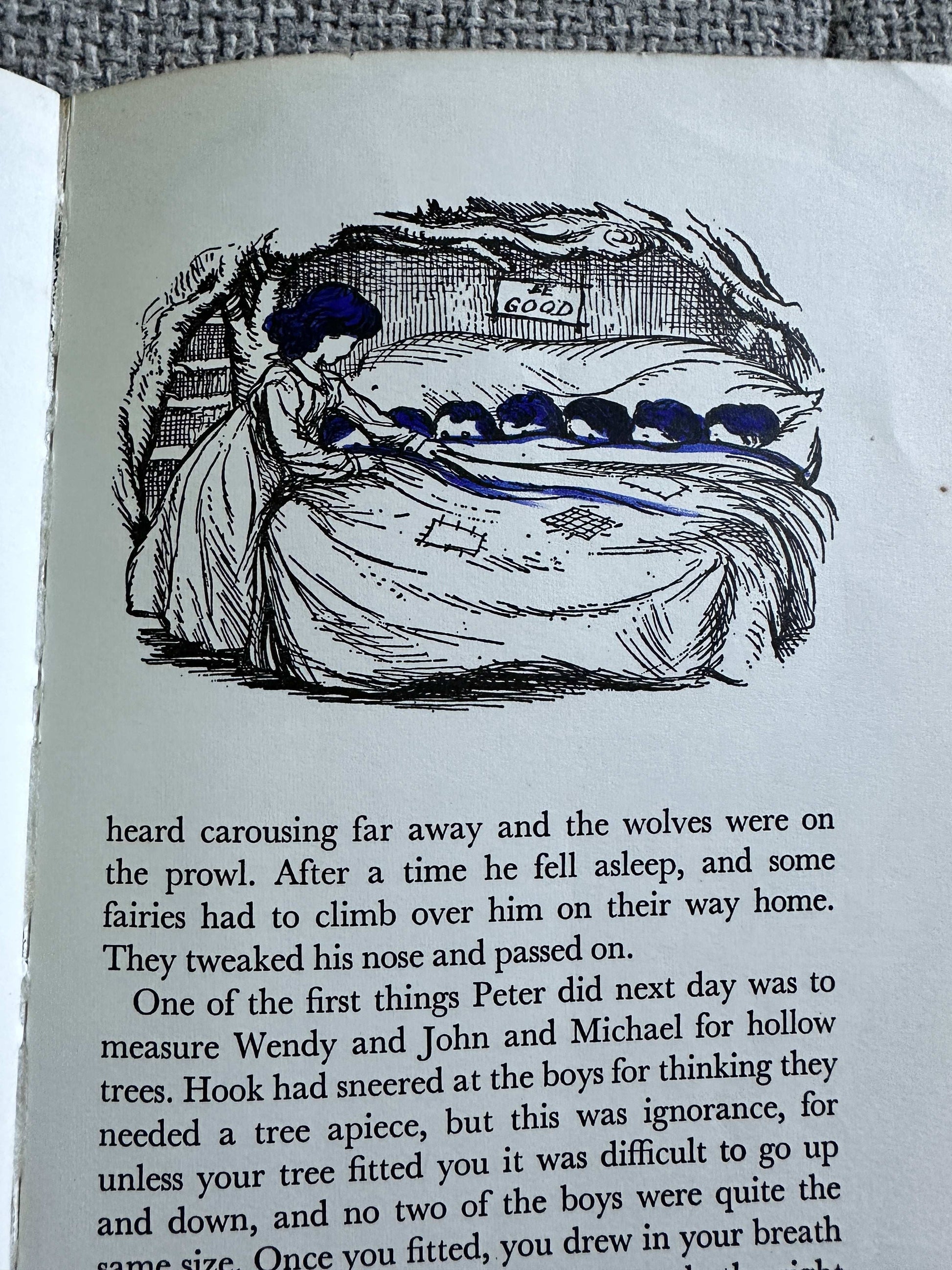1971 The Nursery Peter Pan - J. M. Barrie (Mabel Lucie Attwell & J. S. Goodall Illust) Brockhampton Press