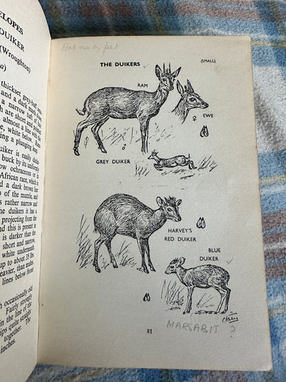 1960 Animals Of East Africa - C. T. Astley Maberly(Howard Timmins of Cape Town)