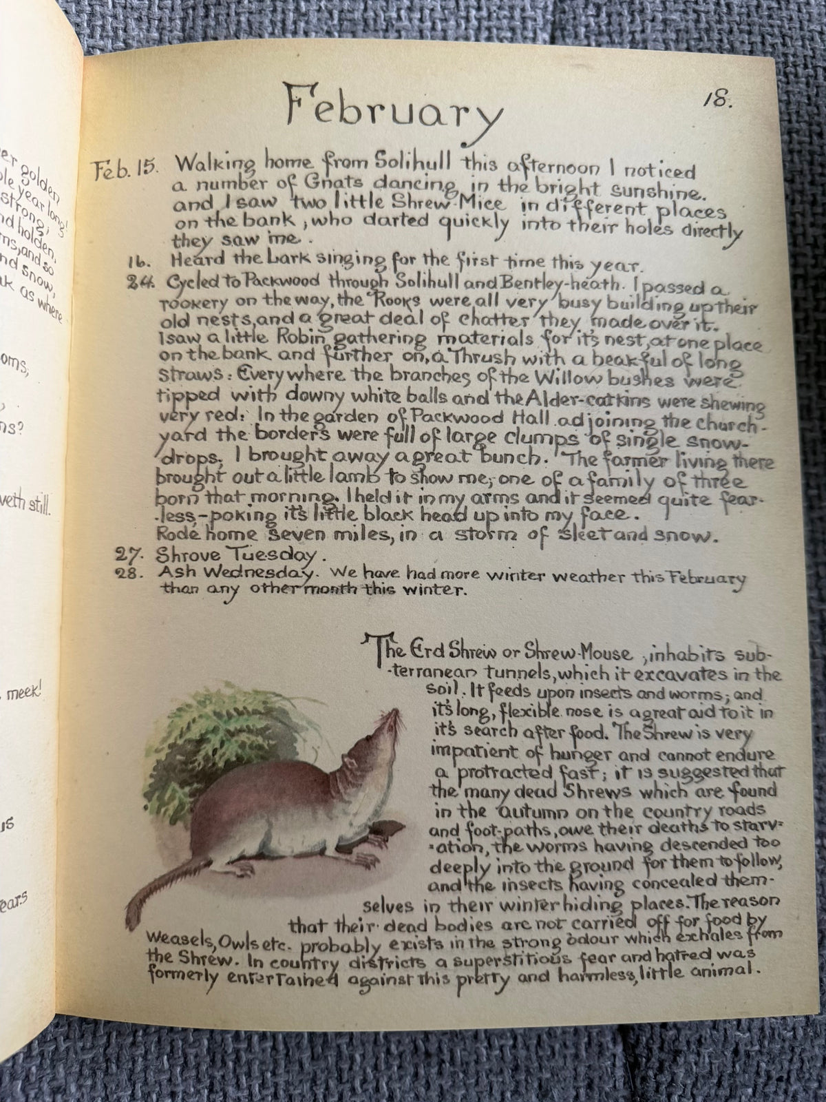 1980 The Country Diary Of An Edwardian Lady - Edith Holden (Michael Joseph / Webb & Bower)