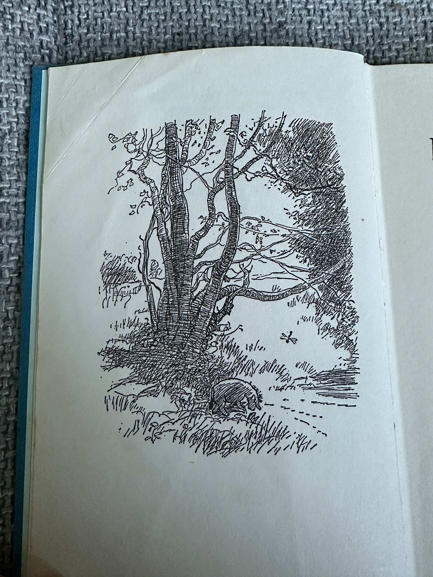 1974 Winnie-The-Pooh - A. A. Milne (E. H. Shepard Illust) Methuen Children’s Books
