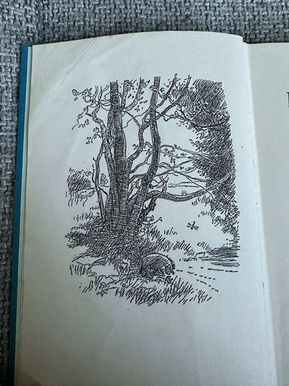 1974 Winnie-The-Pooh - A. A. Milne (E. H. Shepard Illust) Methuen Children’s Books