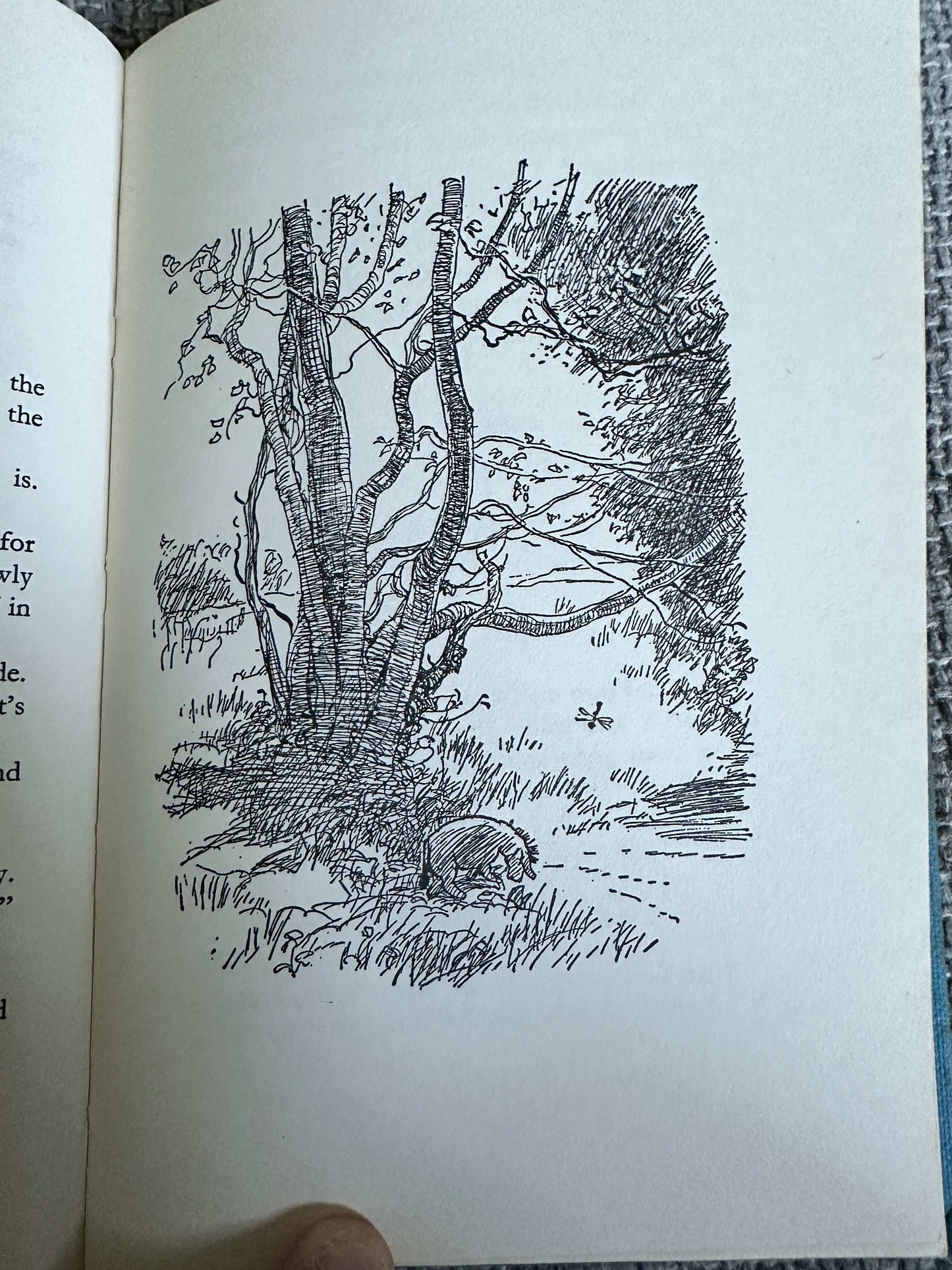 1974 Winnie-The-Pooh - A. A. Milne (E. H. Shepard Illust) Methuen Children’s Books