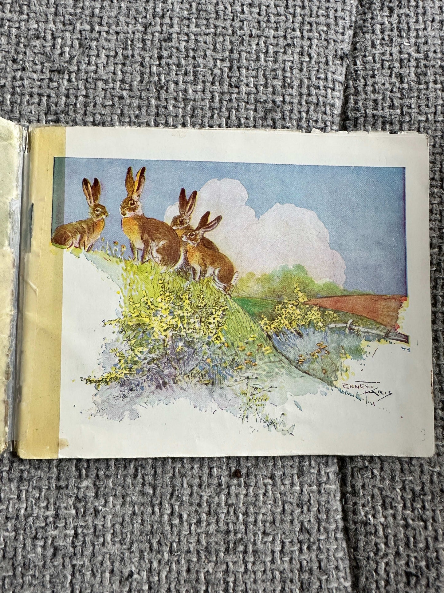 1946 The Story Of Little Jacky Hare (Chummy Book) Maud Morin (Illust Ernest Aris) Valentine & Sons Ltd