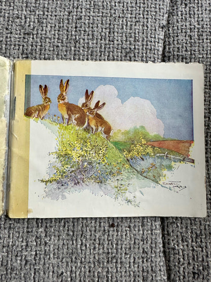 1946 The Story Of Little Jacky Hare (Chummy Book) Maud Morin (Illust Ernest Aris) Valentine & Sons Ltd
