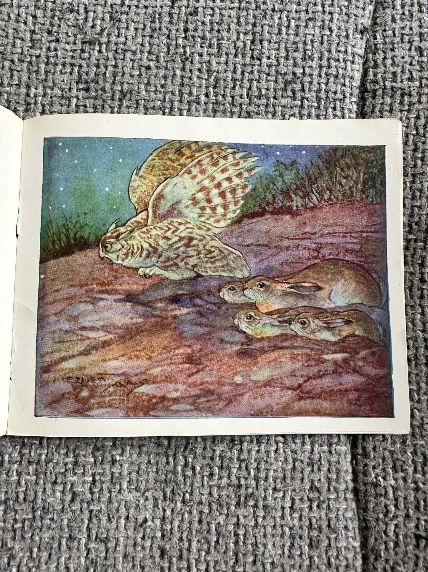1946 The Story Of Little Jacky Hare (Chummy Book) Maud Morin (Illust Ernest Aris) Valentine & Sons Ltd