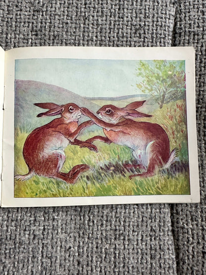 1946 The Story Of Little Jacky Hare (Chummy Book) Maud Morin (Illust Ernest Aris) Valentine & Sons Ltd