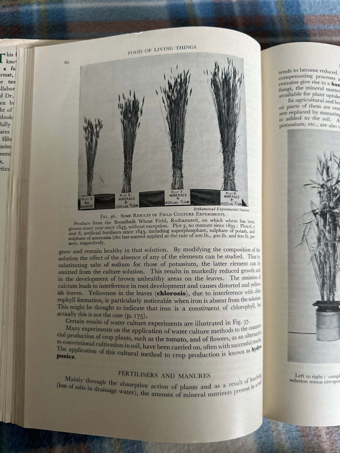 1962 Intermediate Botany - L. J. F. Brimble, S. Williams & G. Bond(MacMillan & Co Ltd) Torn jacket