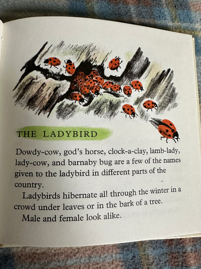 1966 Ladybird, Butterfly & Earwig(Stand & Stare Book 2)- Phyllis Ladyman(Methuen)