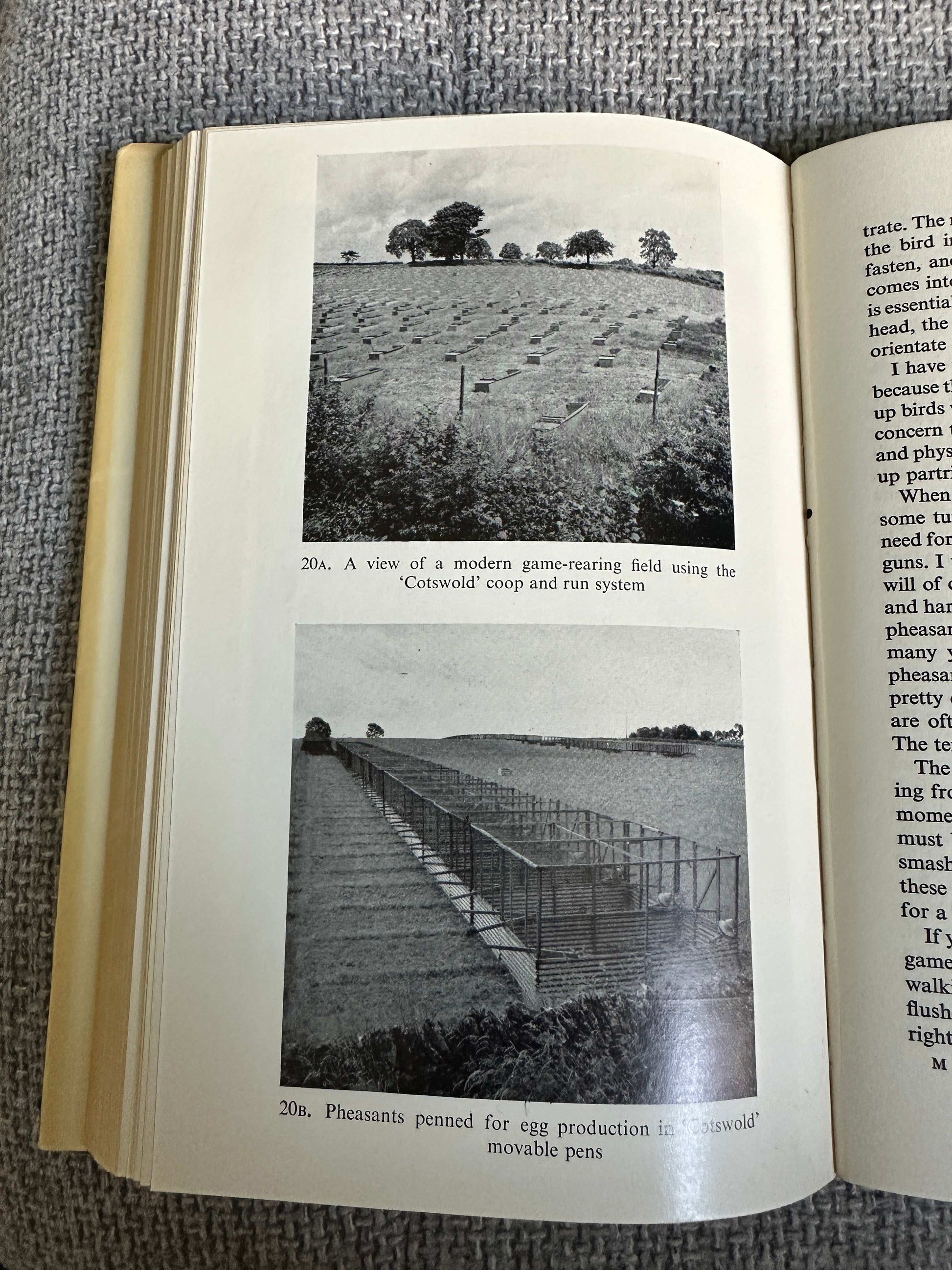1968 Rough Shooting - Gurney A. Grattan & Roderick Willett (Faber & Faber