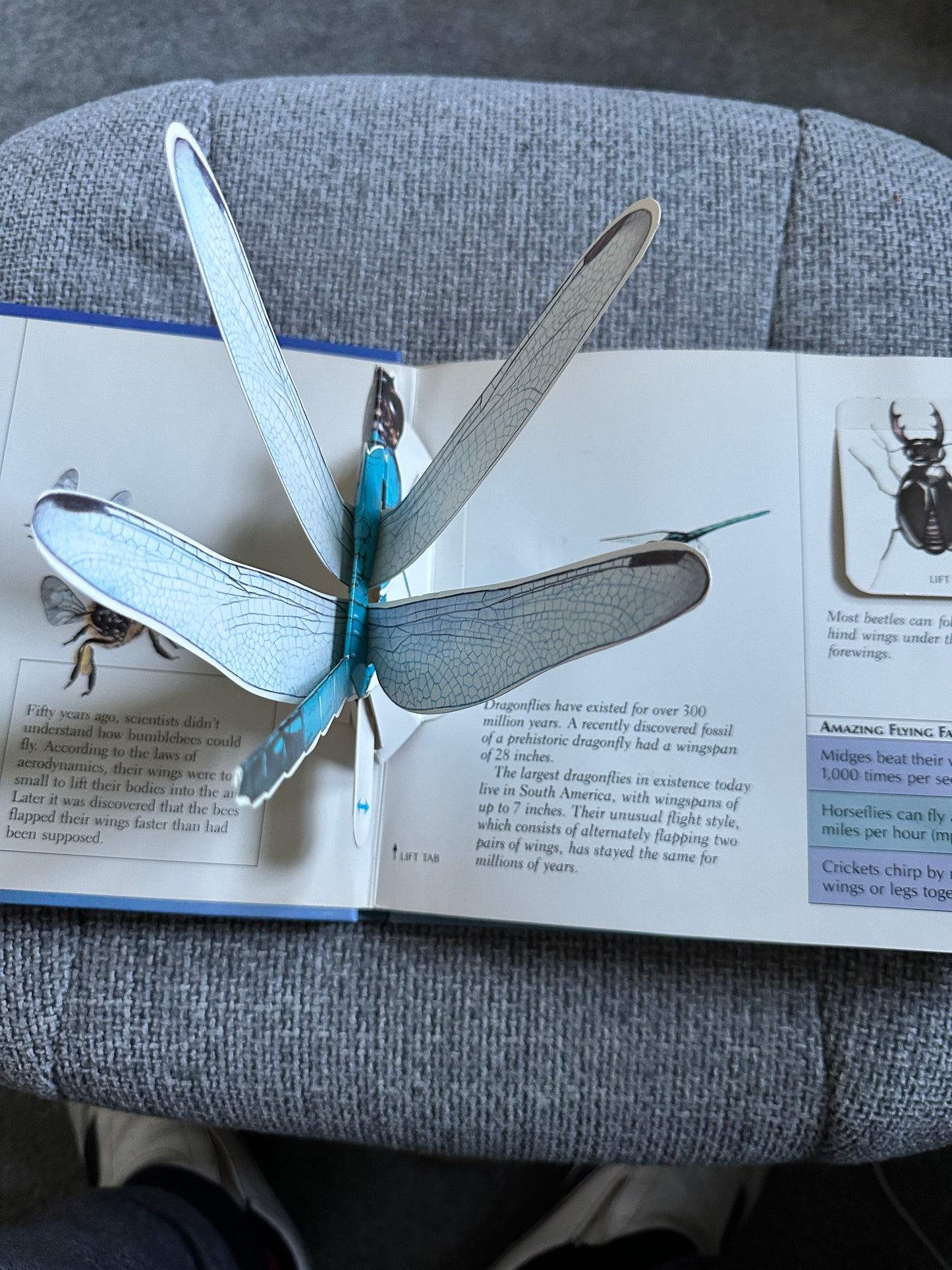 1991*1st* Wings: A Pop-Up Book Of Things That Fly - Nick Bantock(Random House)