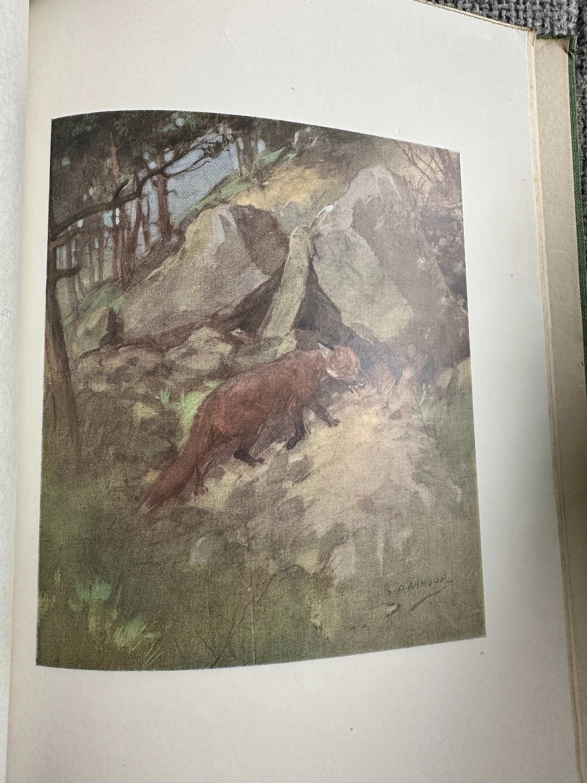 1921*1st* Reynard The Fox Or The Ghost Heath Run - John Masefield (G. D. Armour Illust) William Heinemann