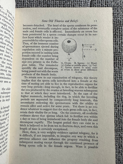 1951*1st* The Dog Breeder’s Manual - Eric Fitch Dalglish(Dent)