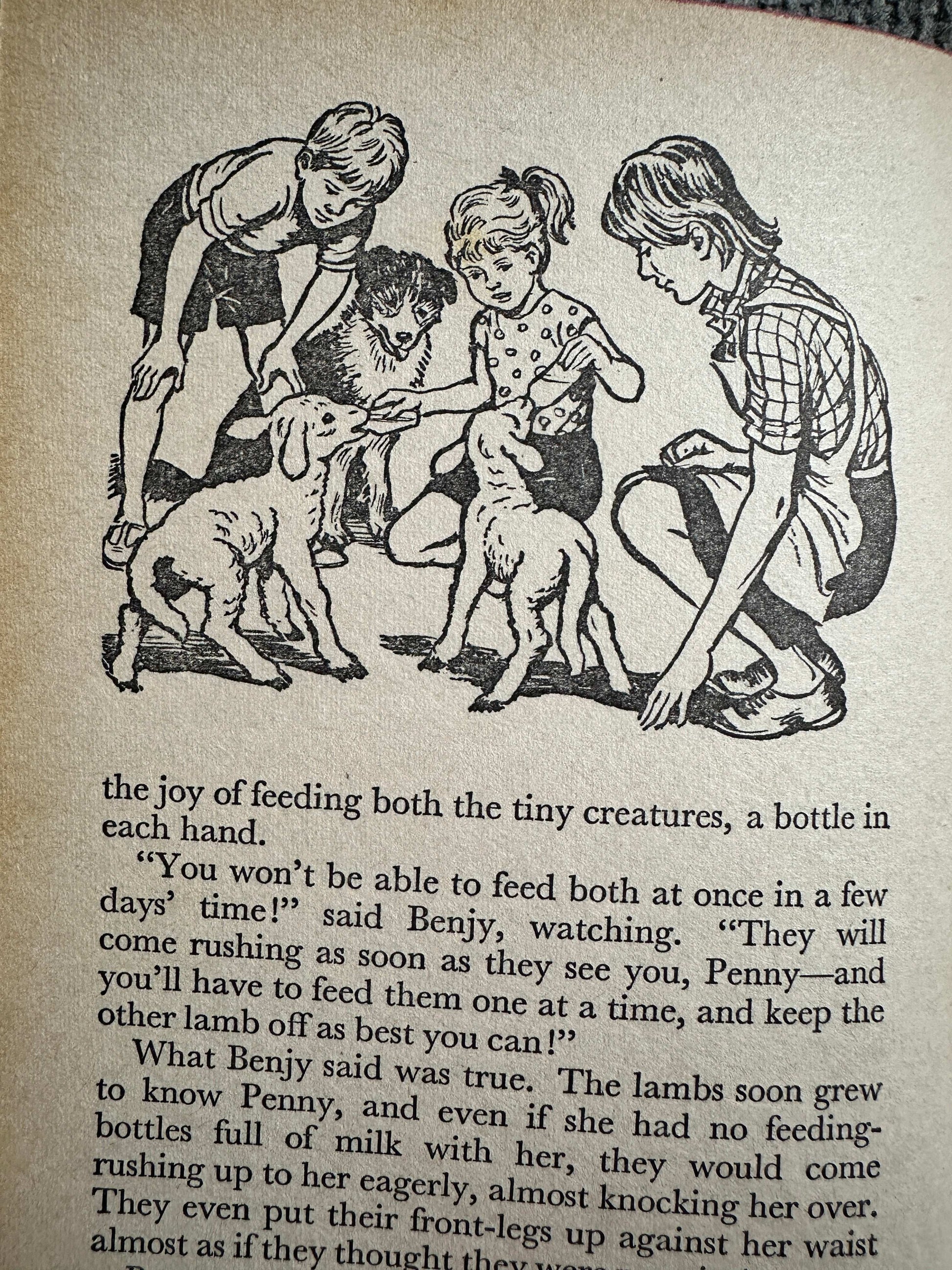 1970 Adventures On Willow Farm (Junior Story Books) Enid Blyton (Collins)