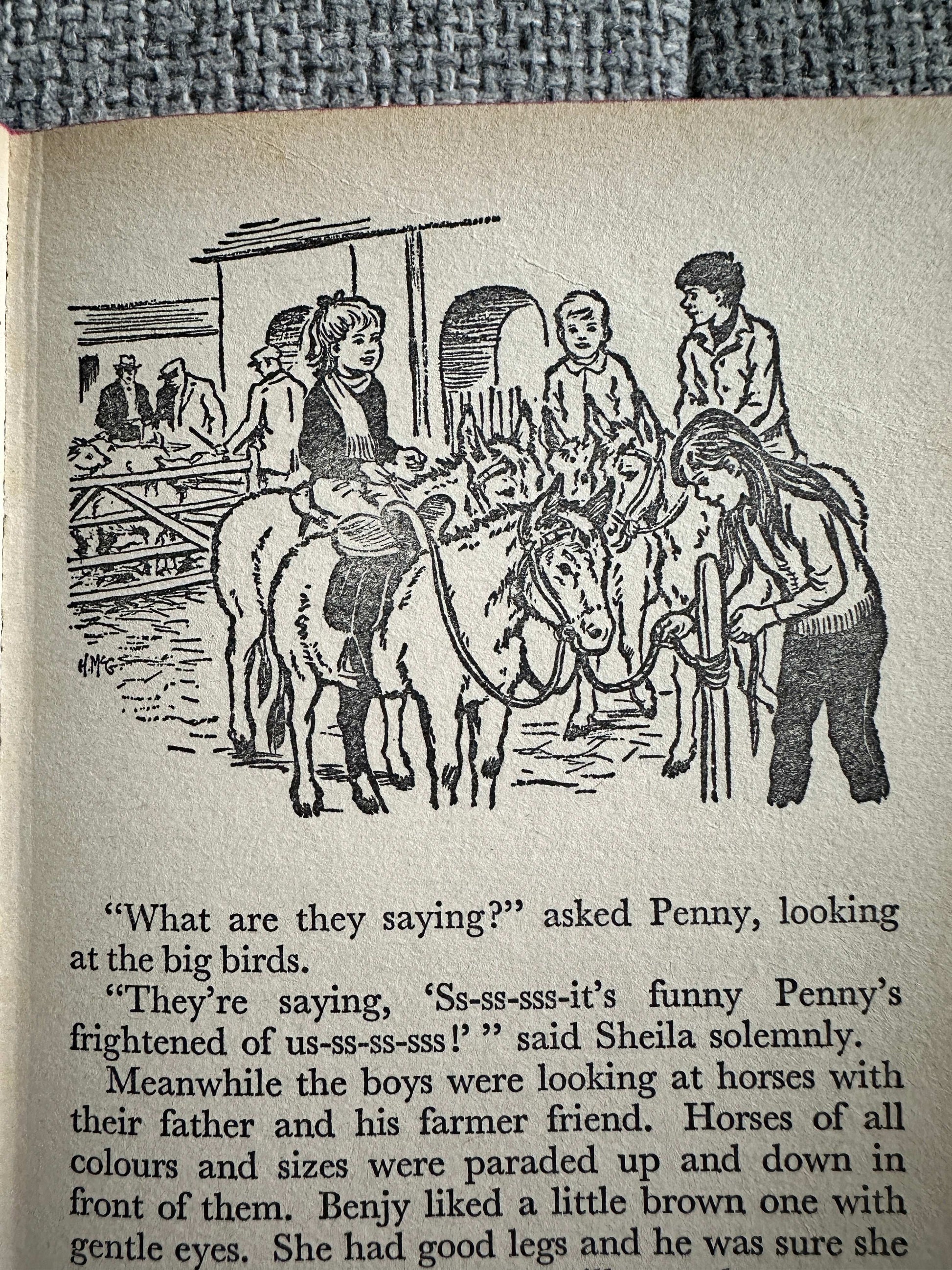 1970 Adventures On Willow Farm (Junior Story Books) Enid Blyton (Collins)