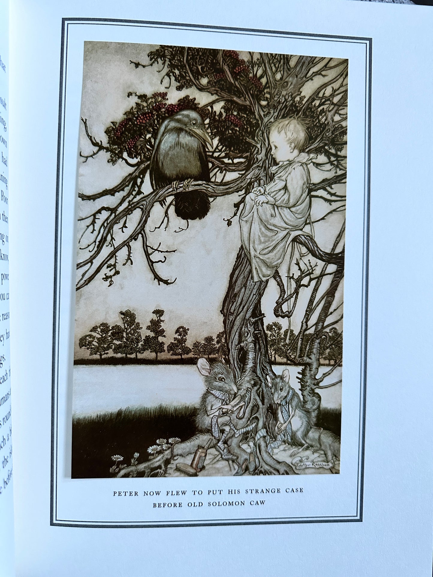 2004 Peter Pan In Kensington Gardens - J. M. Barrie(Arthur Rackham Illust)Folio Society