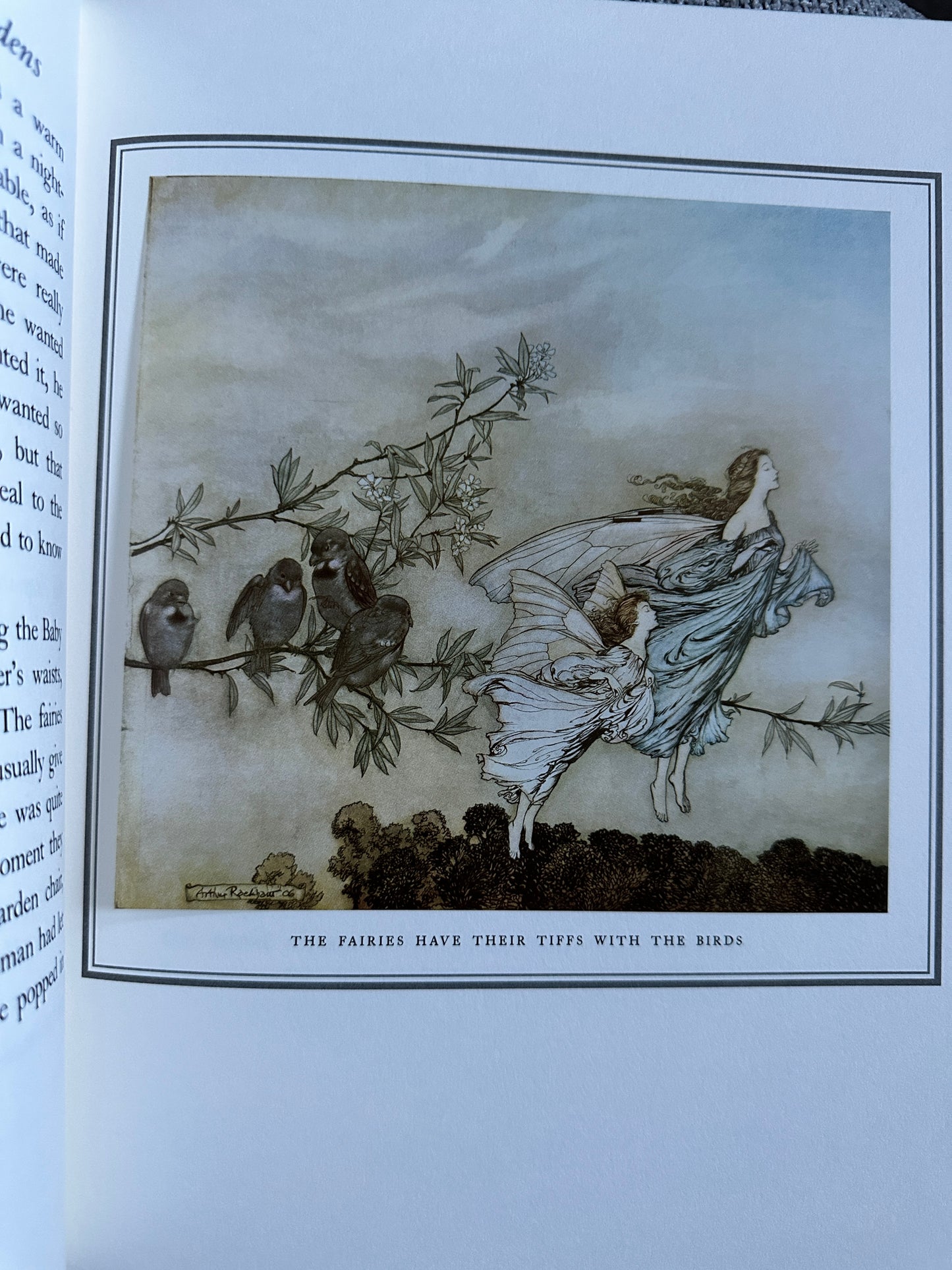 2004 Peter Pan In Kensington Gardens - J. M. Barrie(Arthur Rackham Illust)Folio Society