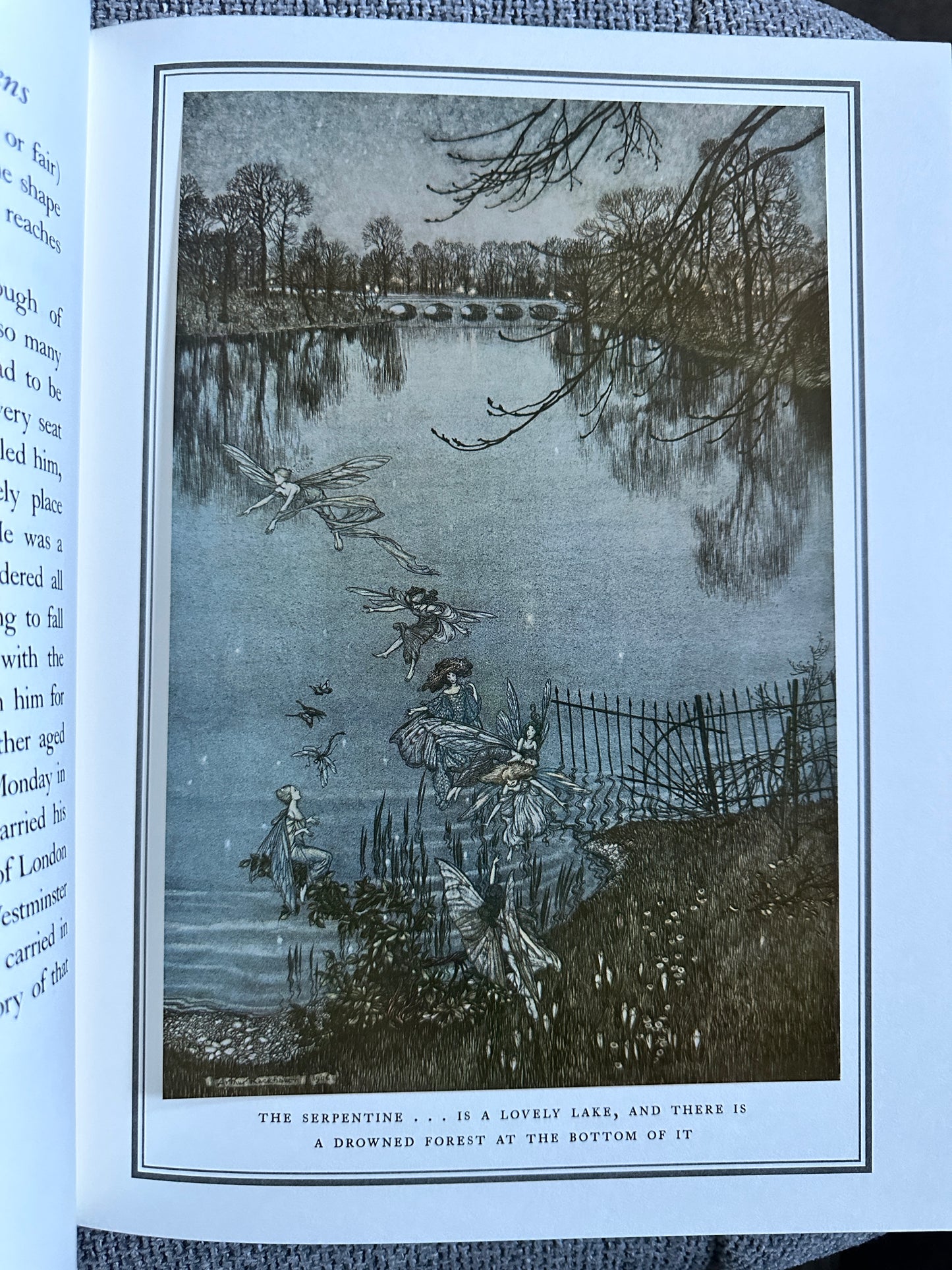 2004 Peter Pan In Kensington Gardens - J. M. Barrie(Arthur Rackham Illust)Folio Society