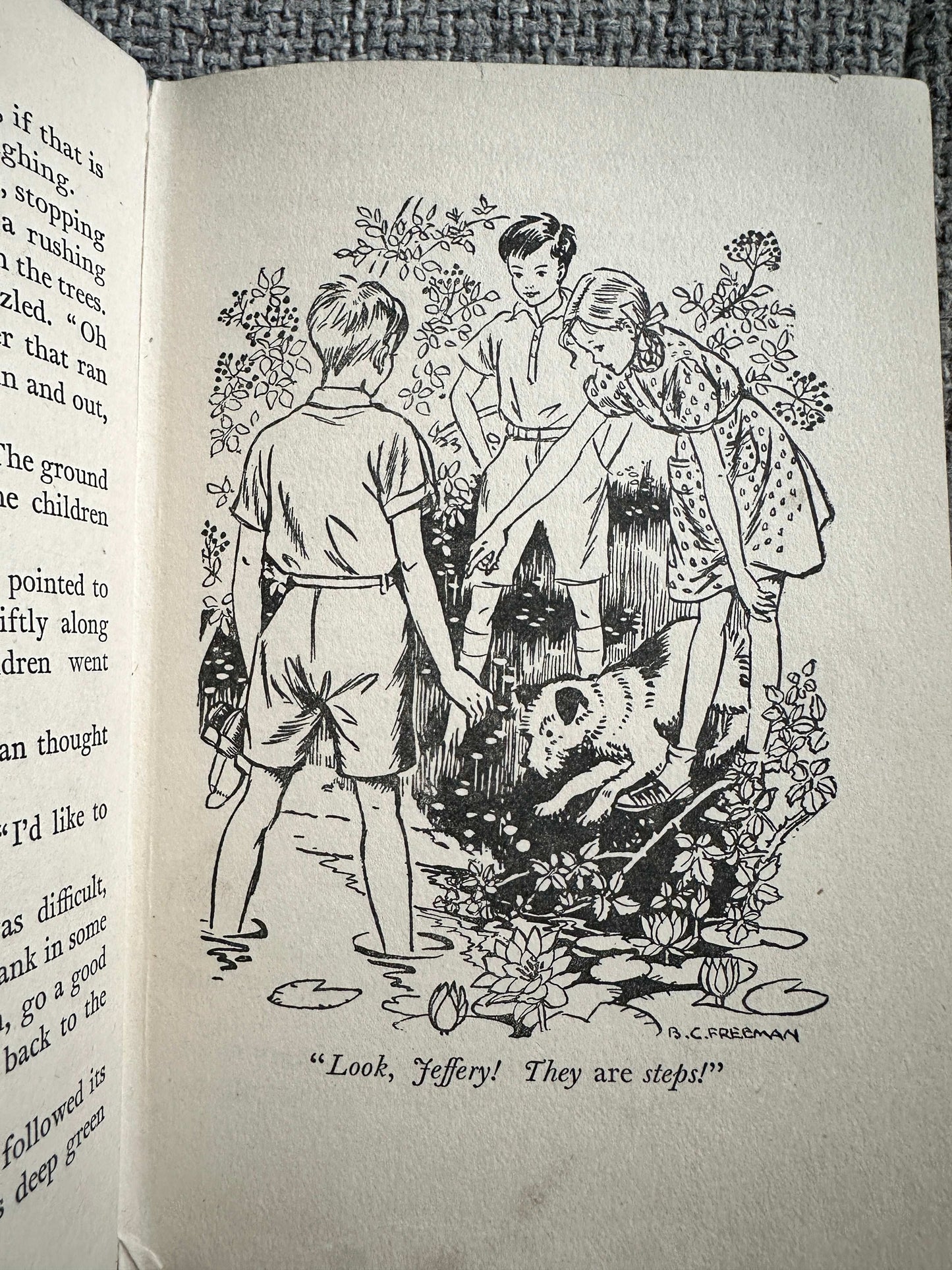 1955 The Treasure Hunters - Enid Blyton (Barbara C. Freeman Illust) Collins Seagull Library