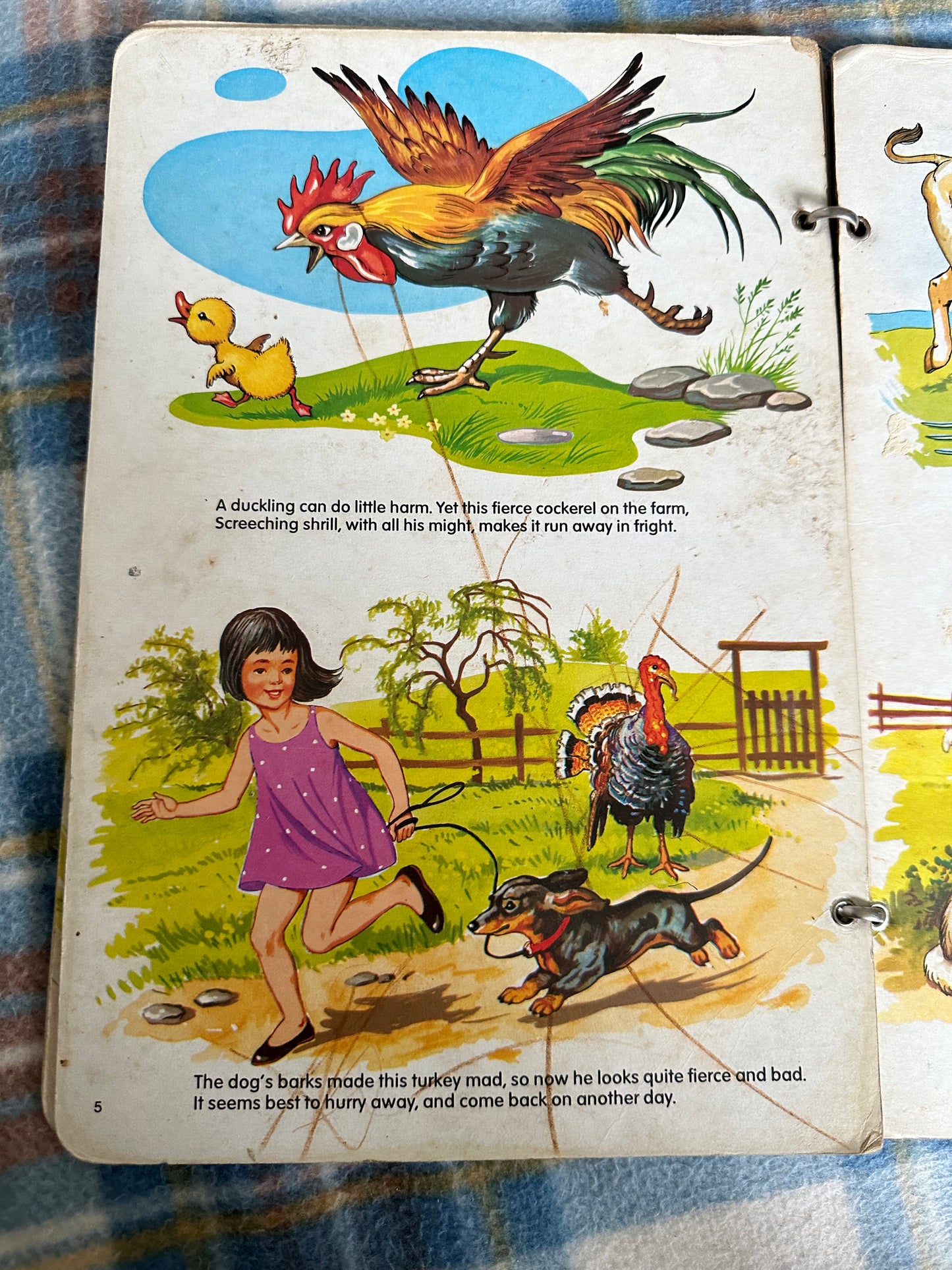 1970’s The Farmyard(Brown Watson Publisher)