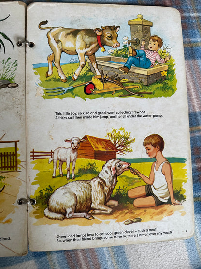 1970’s The Farmyard(Brown Watson Publisher)