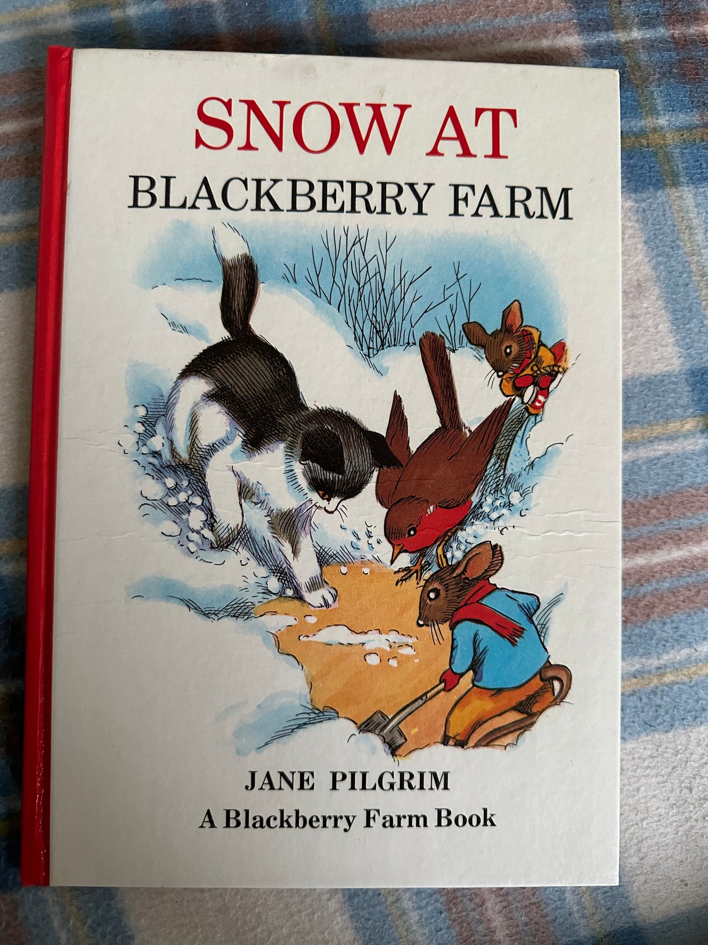 1974 Snow At BlackBerry Farm - Jane Pilgrim(F. Stocks May Illust) Brockhampton Press