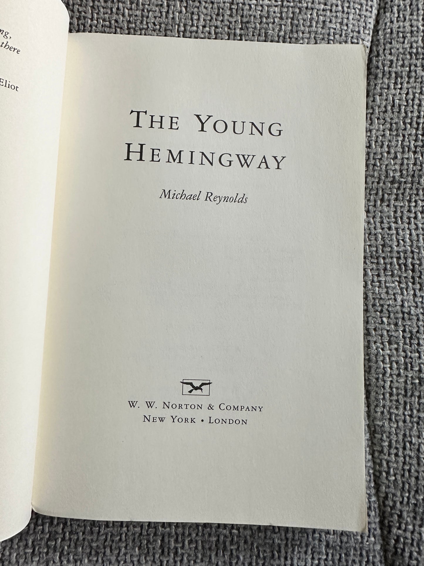 1998 The Young Hemingway - Michael Reynolds(Norton Publisher)