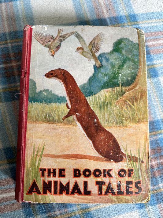 1932 The Book Of Animal Tales - Stephen Southwold (Honor C. Appleton illustration)George Harrap