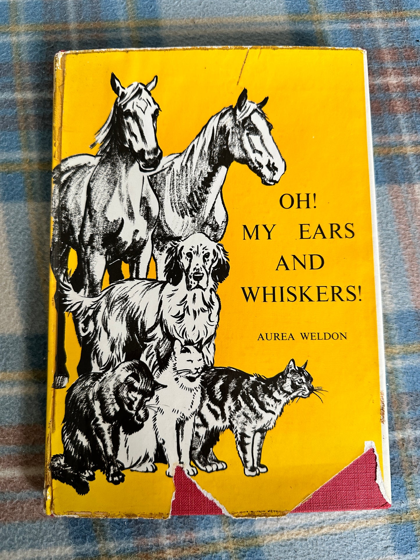 1969*1st* Oh! My Ears & Whiskers! - Aurea Weldon(Joan Thompson Illust)Ward Lock & Co Ltd