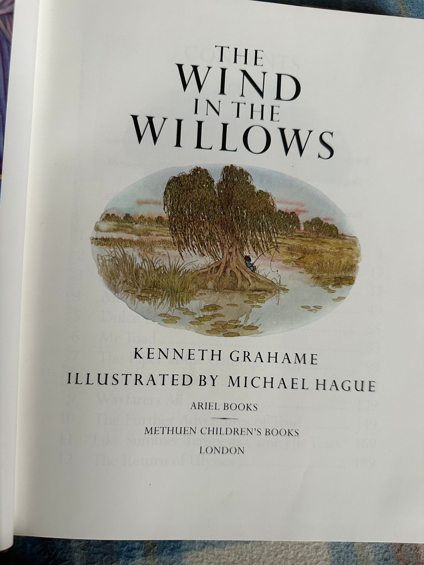 1980 The Wind In The Willows - Kenneth Grahame(Michael Hague illustration) Methuen Children’s Books