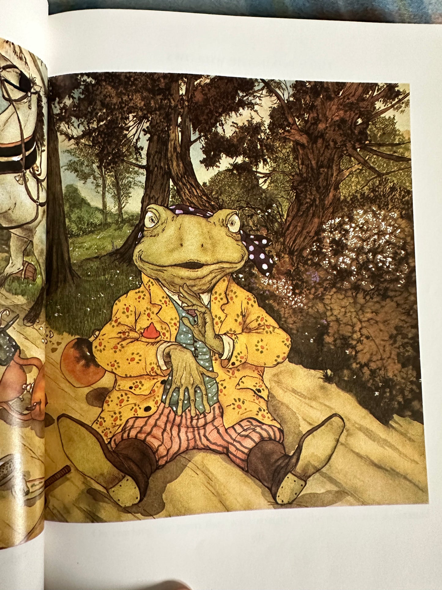 1980 The Wind In The Willows - Kenneth Grahame(Michael Hague illustration) Methuen Children’s Books