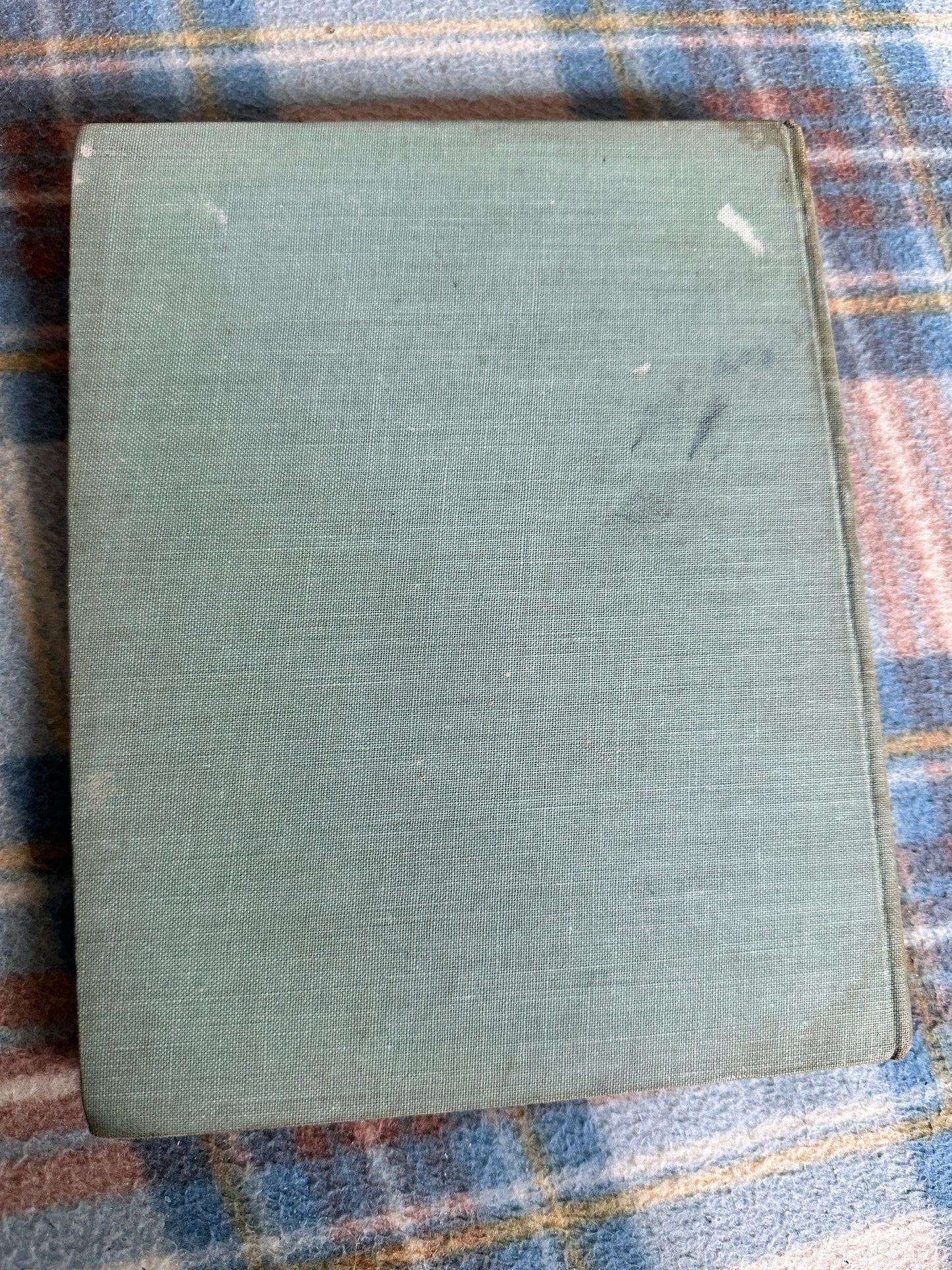 1945*1st* Aldous Greenwing’s Fortune - M. Forster Knight(Illustrator & author) Country Life