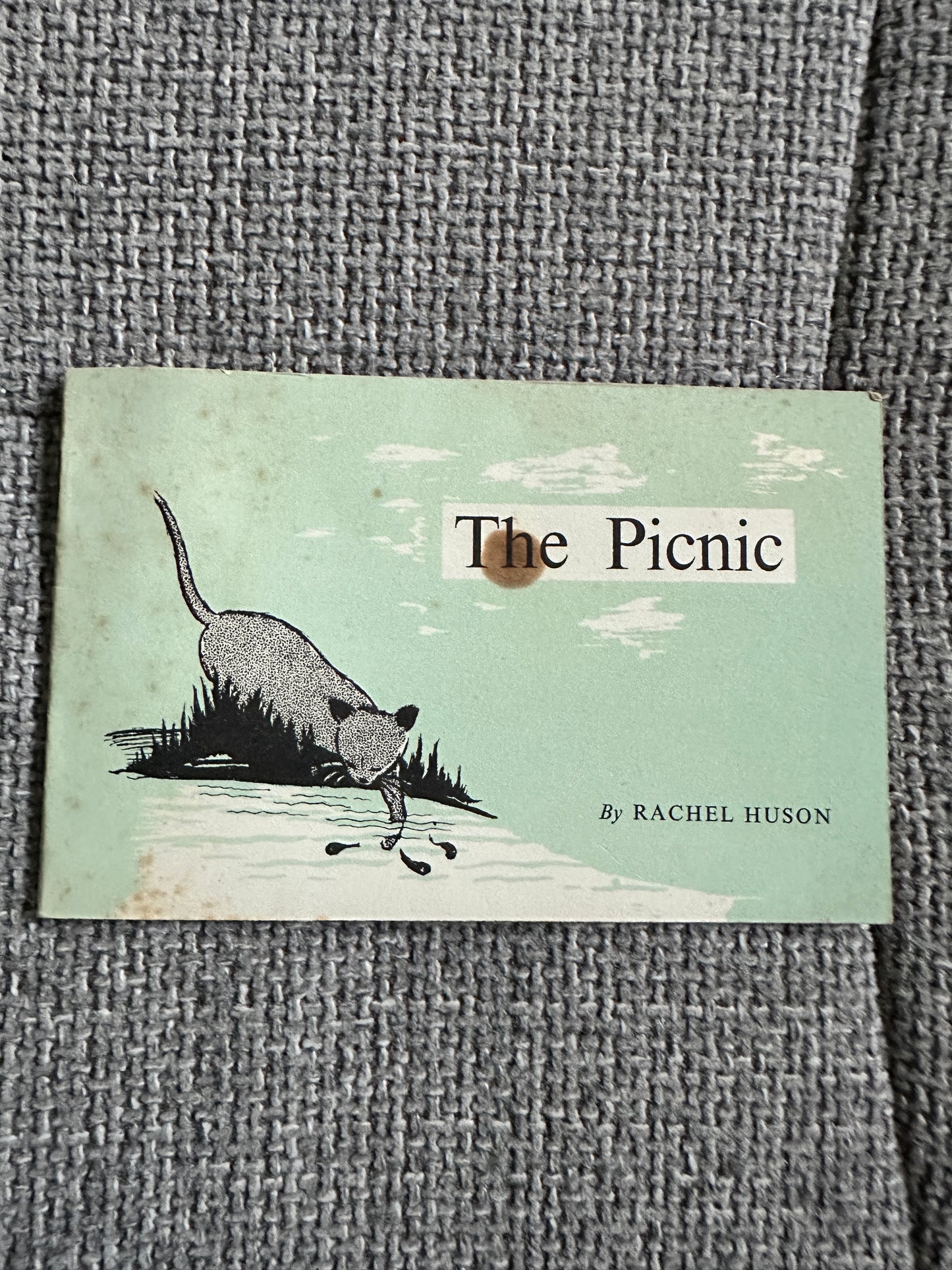 1964 The Picnic - Rachel Huson(Nisbet)