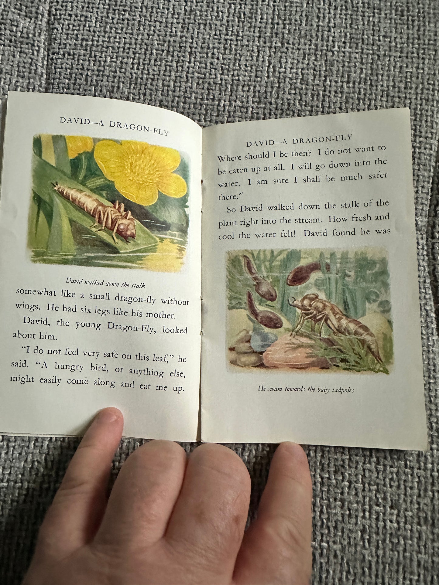 1950’s David A Dragonfly- Cecily M. Rutley(B. Butler Illust) Frederick Warne & Co Ltd.