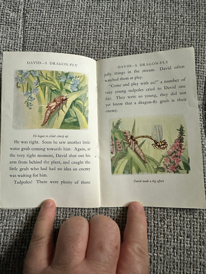 1950’s David A Dragonfly- Cecily M. Rutley(B. Butler Illust) Frederick Warne & Co Ltd.