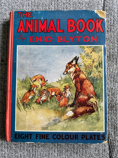 1927*1st* The Animal Book - Enid Blyton(Various Artists) George Newnes Ltd