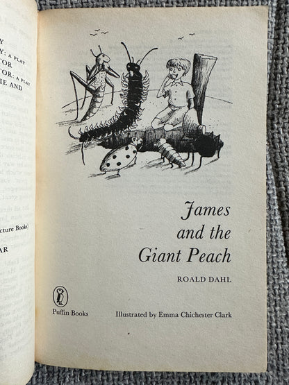 1990 James & The Giant Peach - Roald Dahl (Emma Chichester Clarke Illust) Puffin