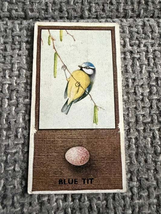 Vintage Cigarette Card — Blue Tit — British Birds & Their Eggs — Godfrey Phillips No.16