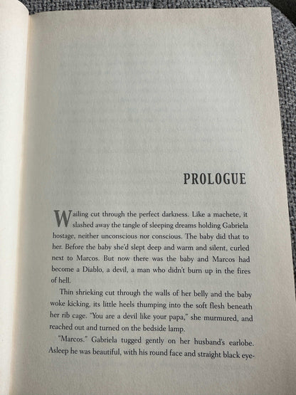 Nevada Barr Borderline first edition prologue page with detailed text and a rustic background